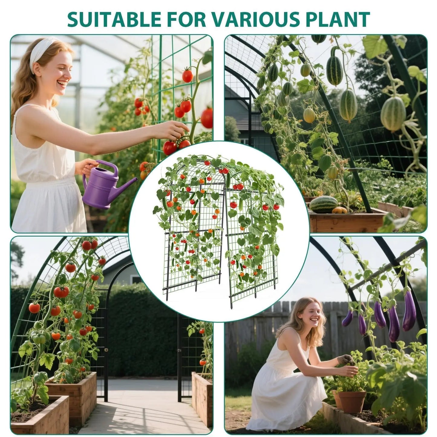HiMISS Adjustable Garden Arch Trellis For Climbing Plants